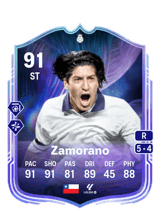 Zamorano 91