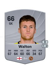 Walton 66