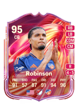 Robinson 95