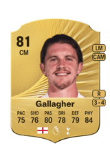 Gallagher 81
