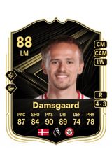 Damsgaard 88