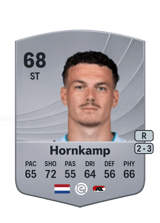 Hornkamp 68