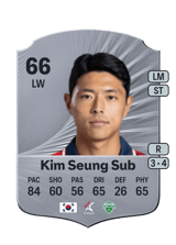 Kim Seung Sub 66