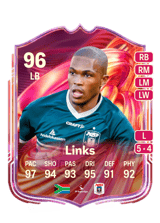 Links 96