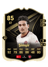 Şimşir 85