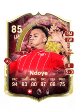 Ndoye 85