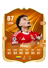 Ríos 87