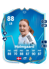 Holmgaard 88