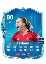 Terland 90