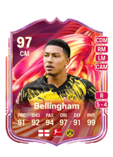 Bellingham 97
