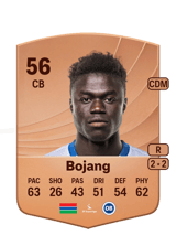 Yaya Bojang 56