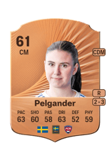 Pelgander 61
