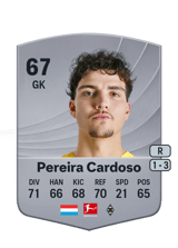 Pereira Cardoso 67