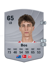 Bos 65