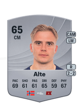 Alte 65