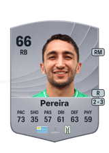 Pereira 66