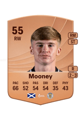 Mooney 55