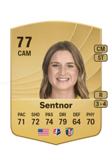 Sentnor 77