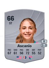 Ascanio 66