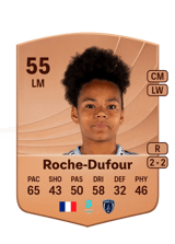 Roche-Dufour 55