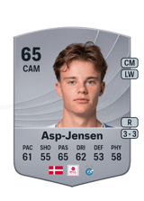 Asp-Jensen 65