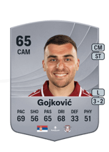 Gojković 65