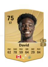 David 75
