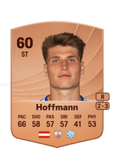 Hoffmann 60