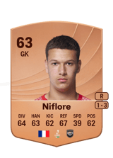Niflore 63