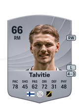 Talvitie 66