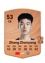 Zhang Zhenyang 53