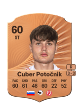 Čuber Potočnik 60