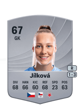 Jílková 67