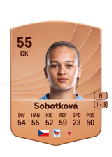 Sobotková 55