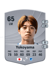 Yokoyama 65