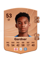 Gardner 53