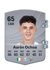 Aarón Ochoa 65