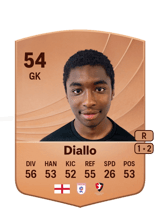 Diallo 54