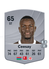 Ceesay 65