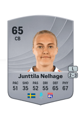 Junttila Nelhage 65