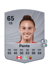 Pante 65