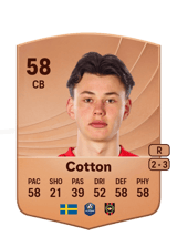 Cotton 58