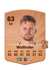 Wallinder 63