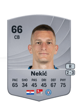 Nekić 66