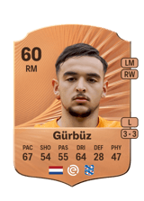 Gürbüz 60
