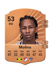 Molina 53