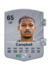 Campbell 65