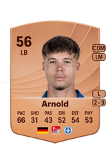Tim Arnold 56