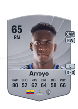 Jean Arroyo 65