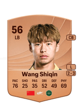 Wang Shiqin 56